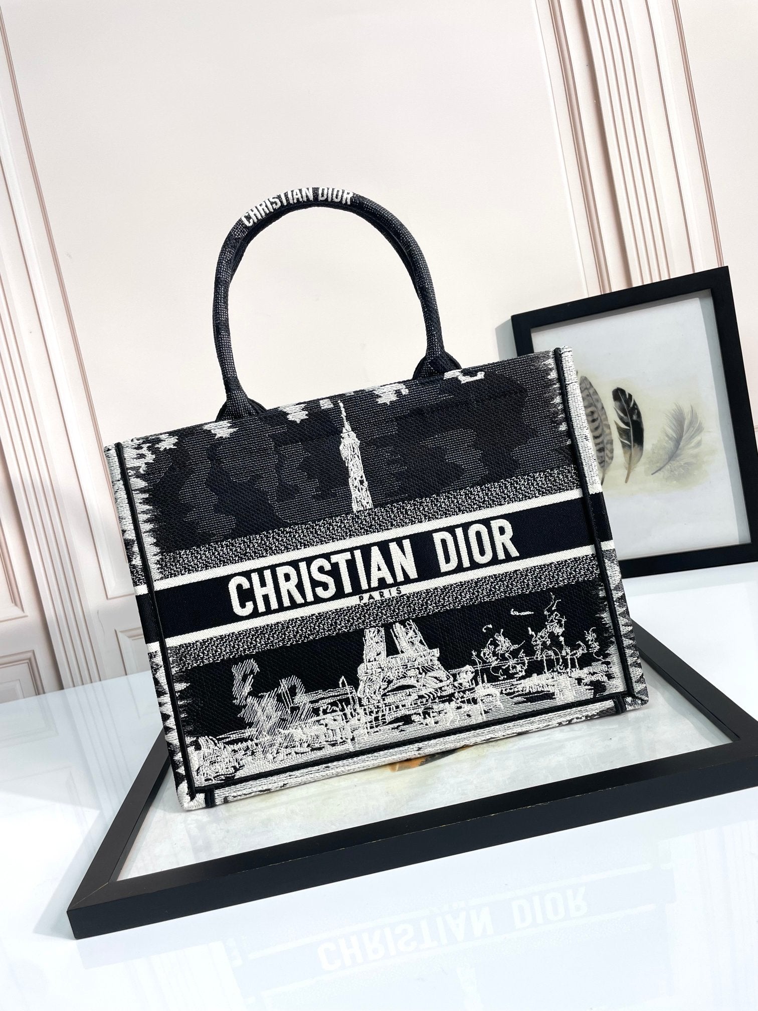 Christian Dior Medium Book Tote Plan de Paris Embroidery Bag