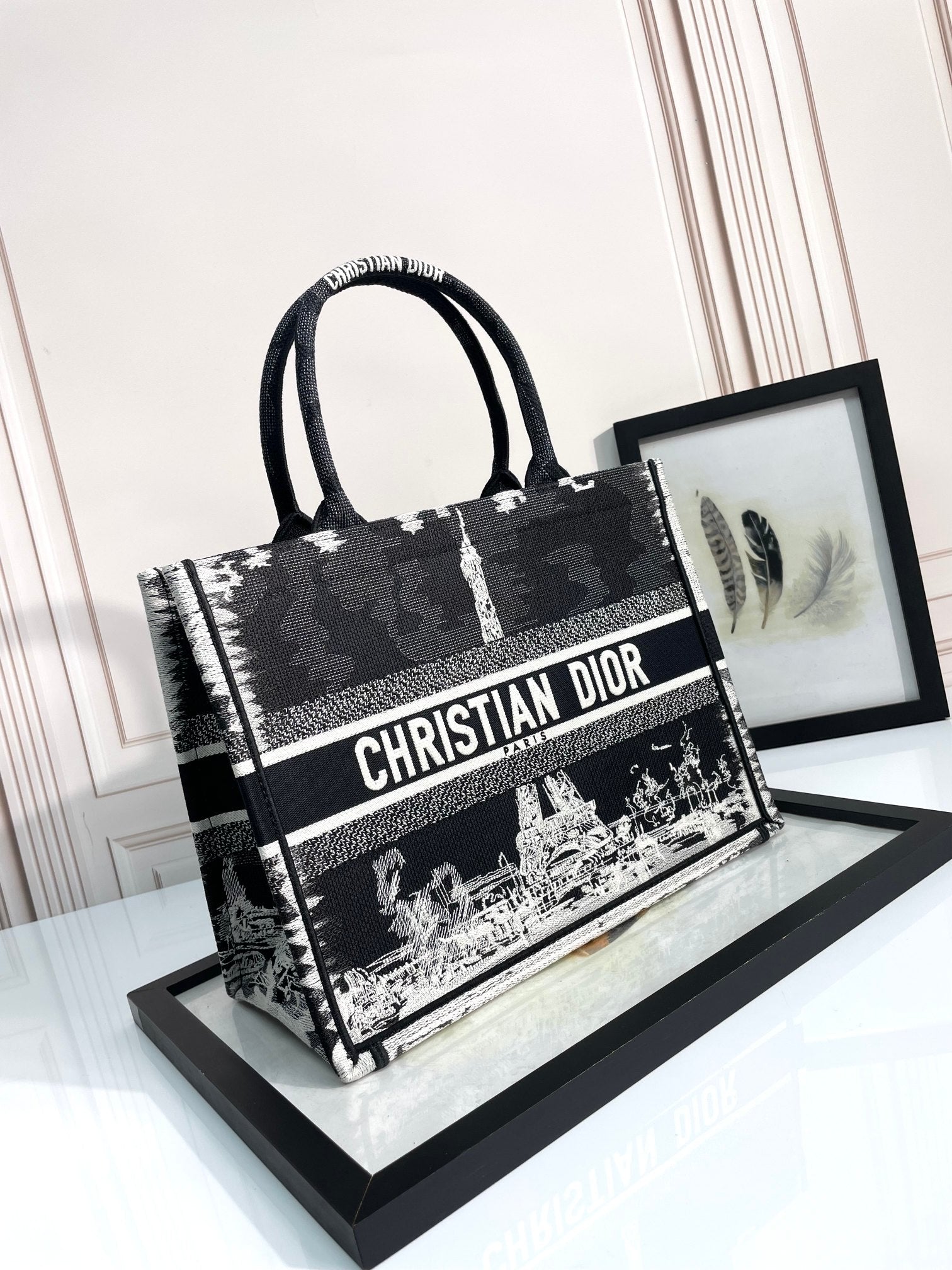 Christian Dior Medium Book Tote Plan de Paris Embroidery - Black & White
