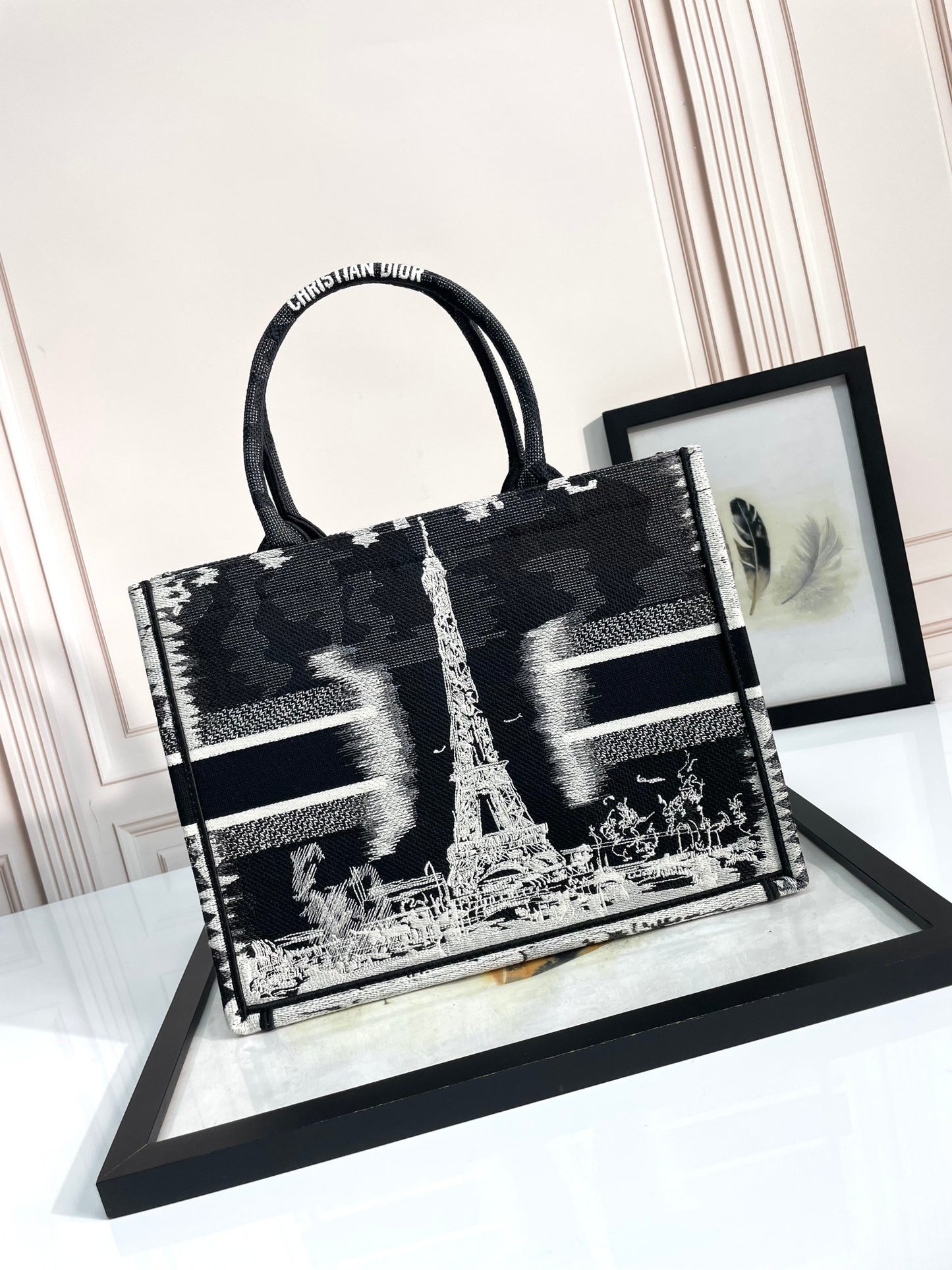 Christian Dior Medium Book Tote Plan de Paris Embroidery Bag