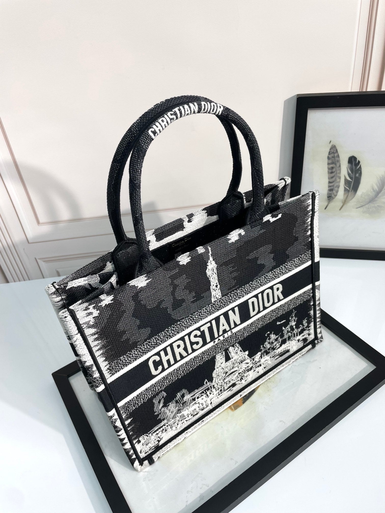 Christian Dior Medium Book Tote Plan de Paris Embroidery Bag