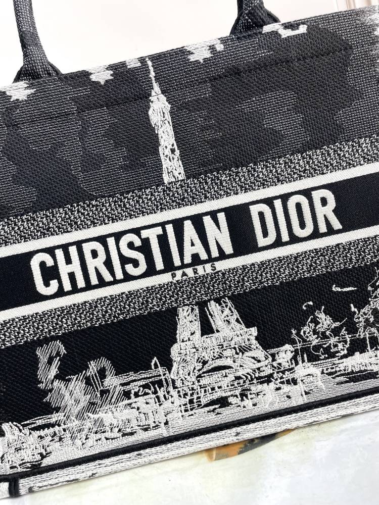 Christian Dior Medium Book Tote Plan de Paris Embroidery Bag