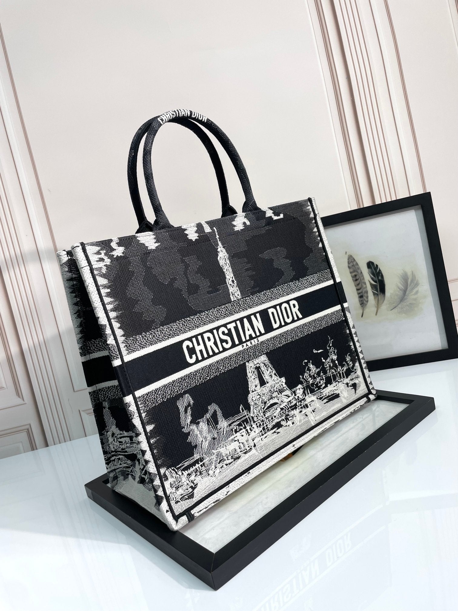 Christian Dior Large Book Tote Bag - Plan de Paris Motif - Black and White Embroidered Canvas