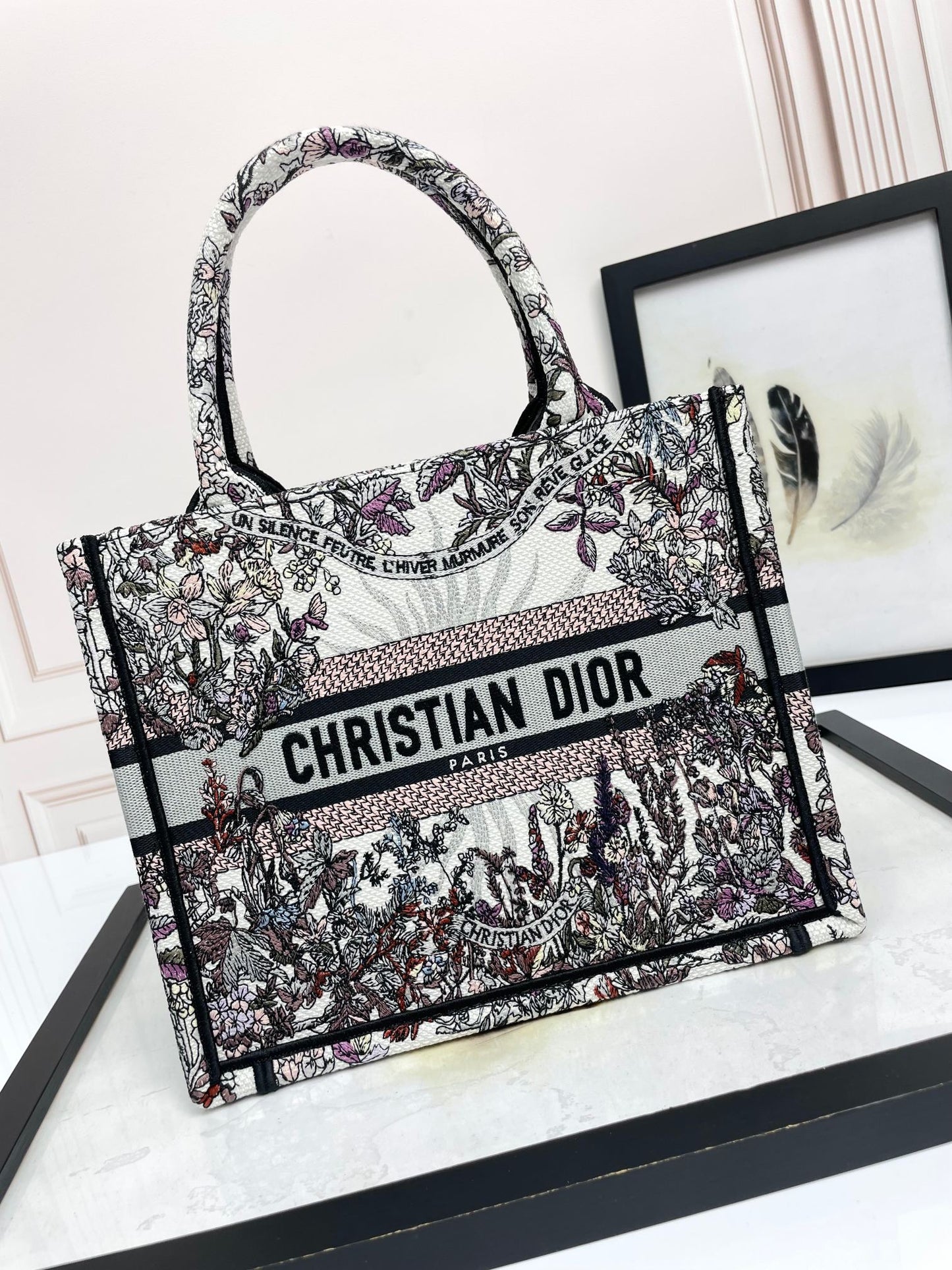 Christian Dior Medium Book Tote - Grey and Black Toile de Jouy Embroidered Canvas