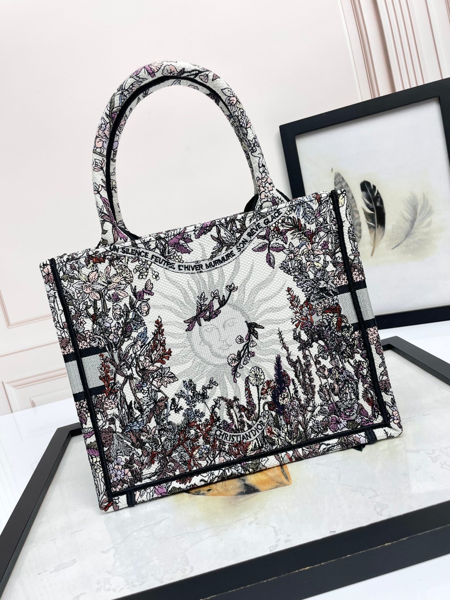 Christian Dior Medium Book Tote - Grey and Black Toile de Jouy Embroidered Canvas