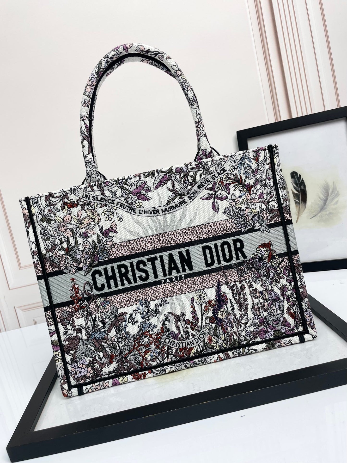 Christian Dior Book Tote - Embroidered Toile de Jouy Large Bag