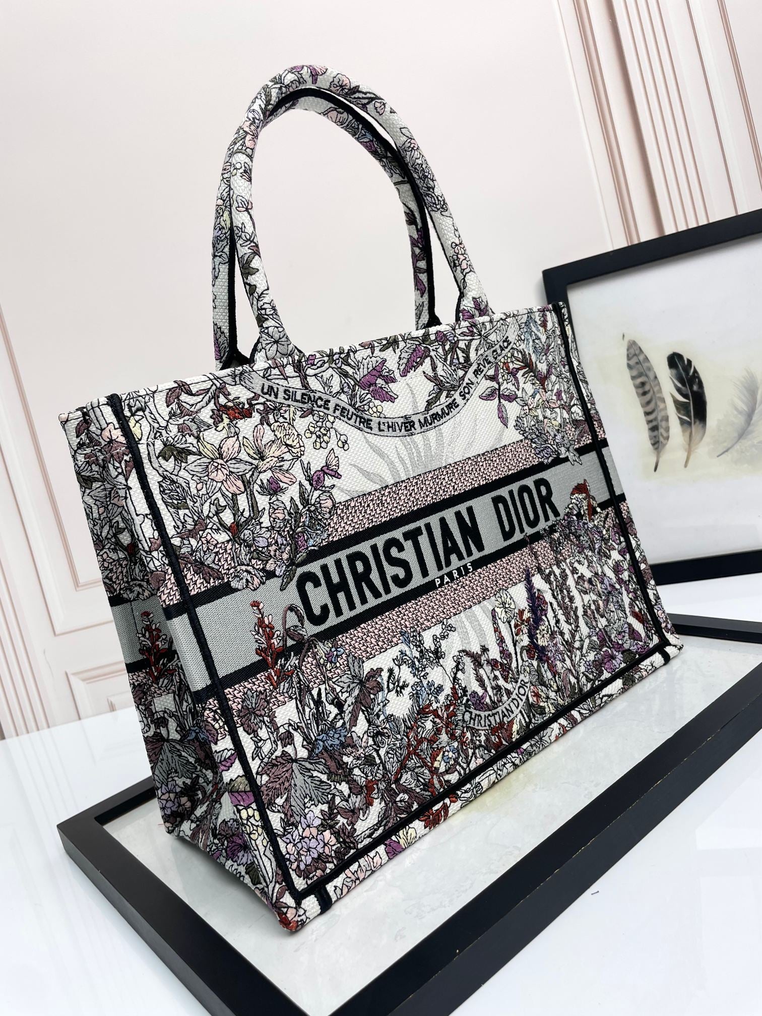 Christian Dior Book Tote - Embroidered Toile de Jouy Large Bag