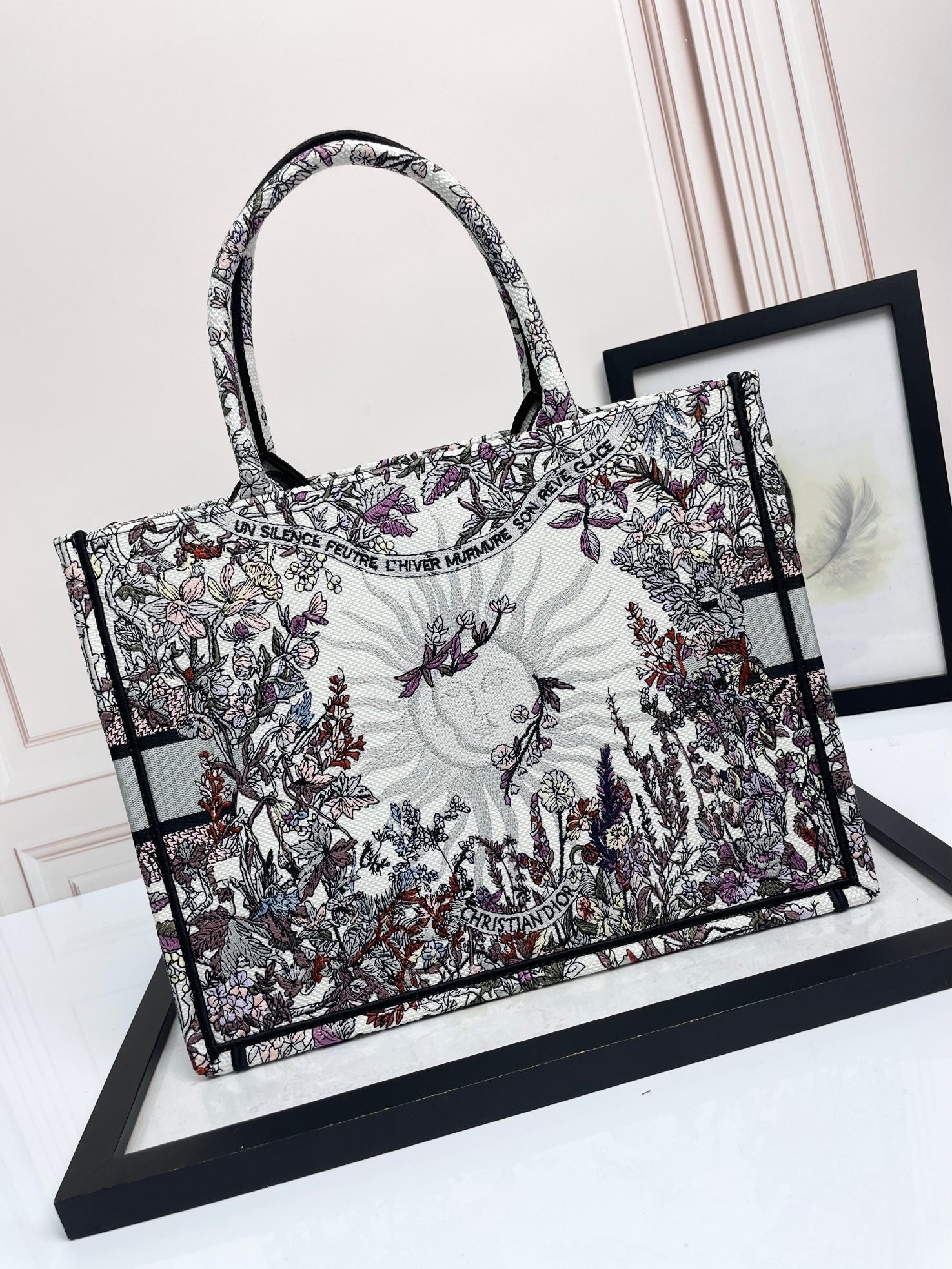 Christian Dior Book Tote - Embroidered Toile de Jouy Large Bag