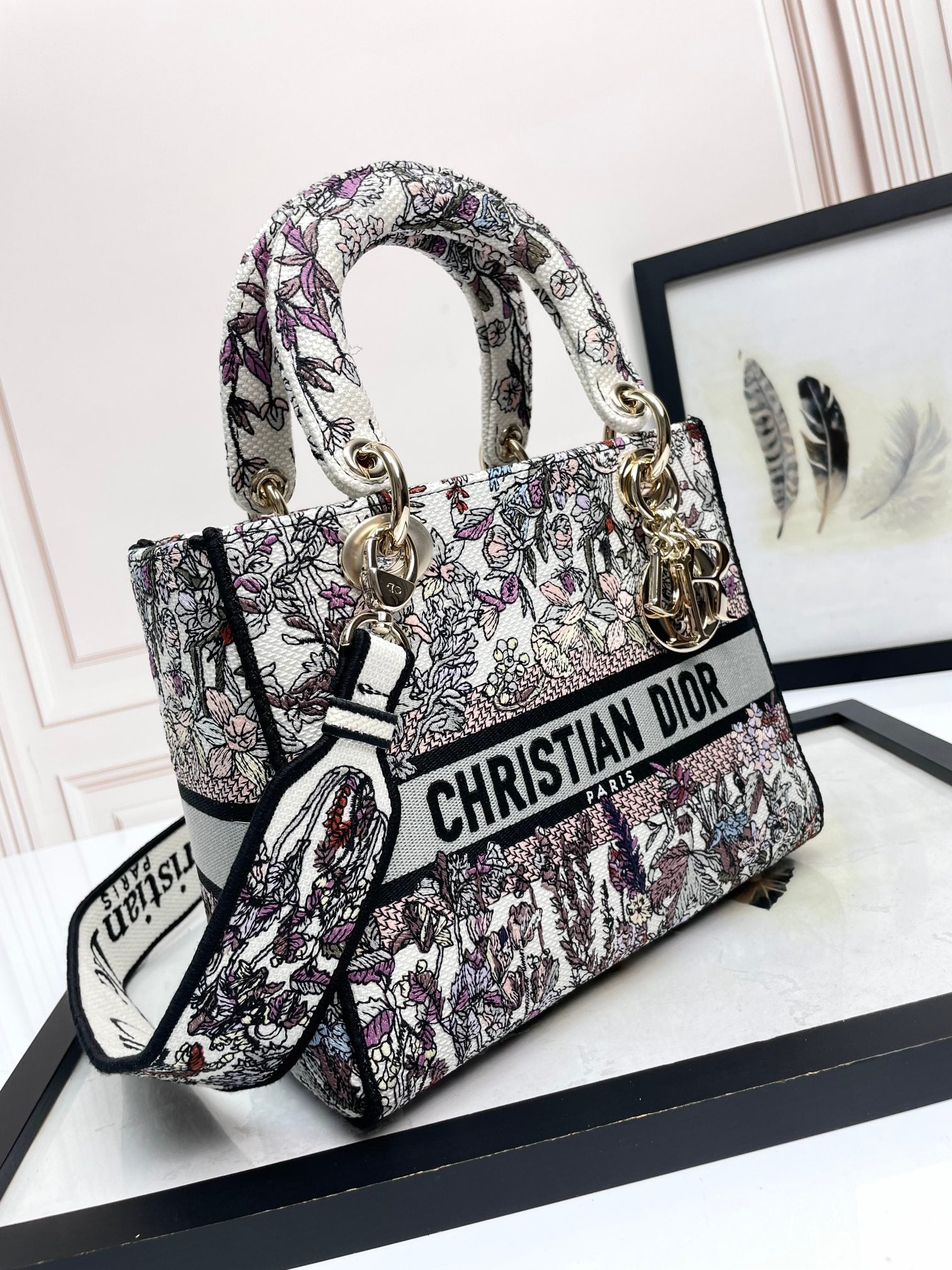 Christian Dior Medium Lady D-Lite Bag - Multicolor Toile de Jouy Reverse Embroidery