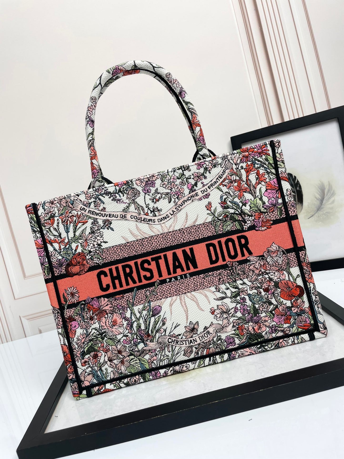 Christian Dior Book Tote Bag - Multicolor Toile de Jouy Embroidered Canvas
