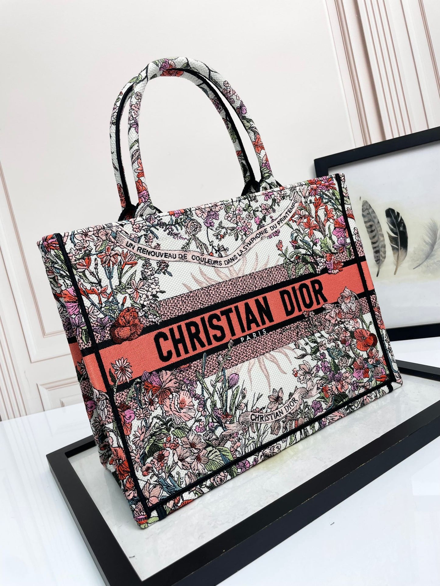 Christian Dior Book Tote Bag - Multicolor Toile de Jouy Embroidered Canvas