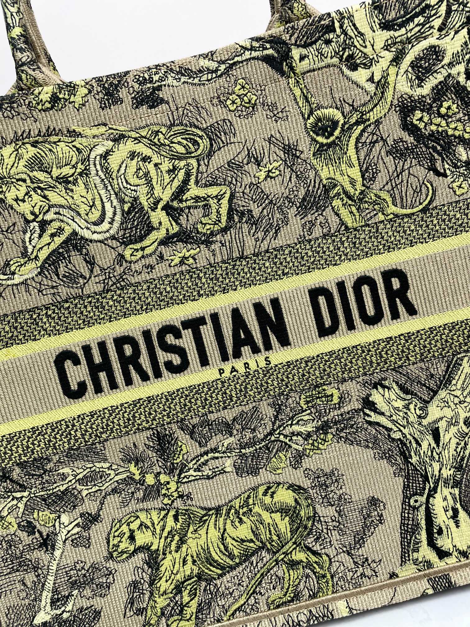 Christian Dior Large Book Tote Bag in Embroidered Canvas