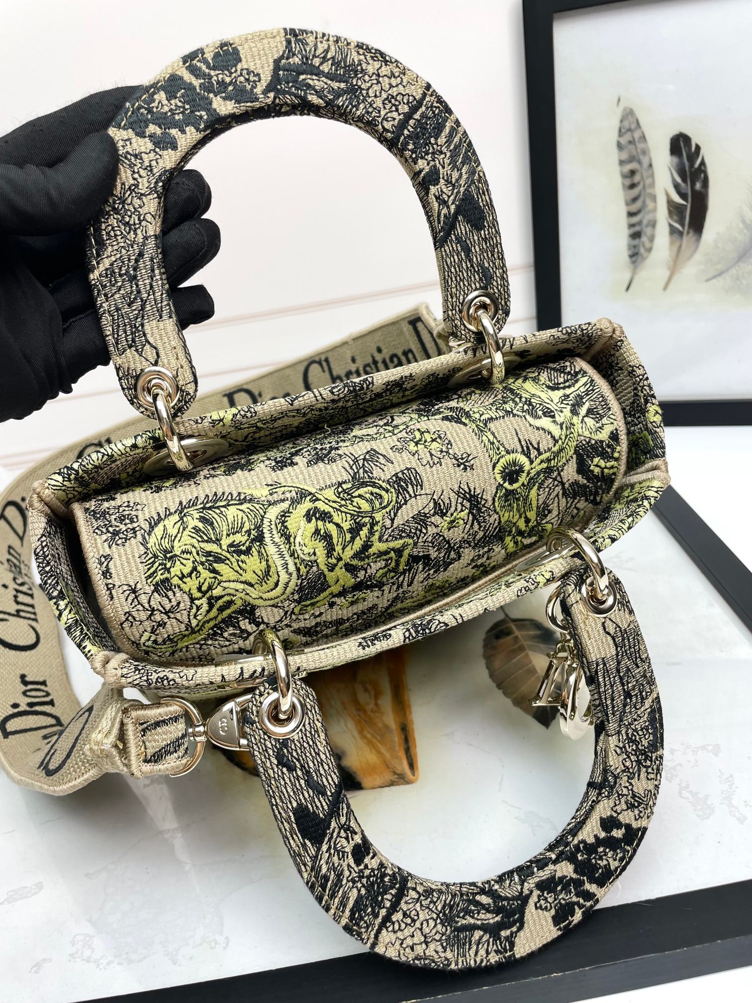 Christian Dior Lady D-Lite Bag - Green & Beige Embroidered Toile de Jouy