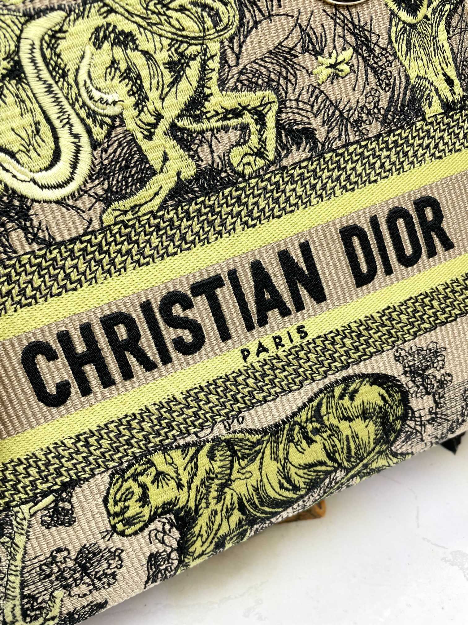 Christian Dior Lady D-Lite Bag - Green & Beige Embroidered Toile de Jouy