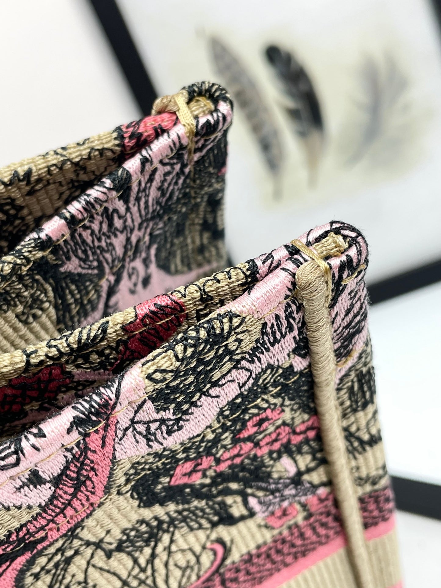 Christian Dior Book Tote Pink Toile de Jouy Sauvage Embroidery Handbag