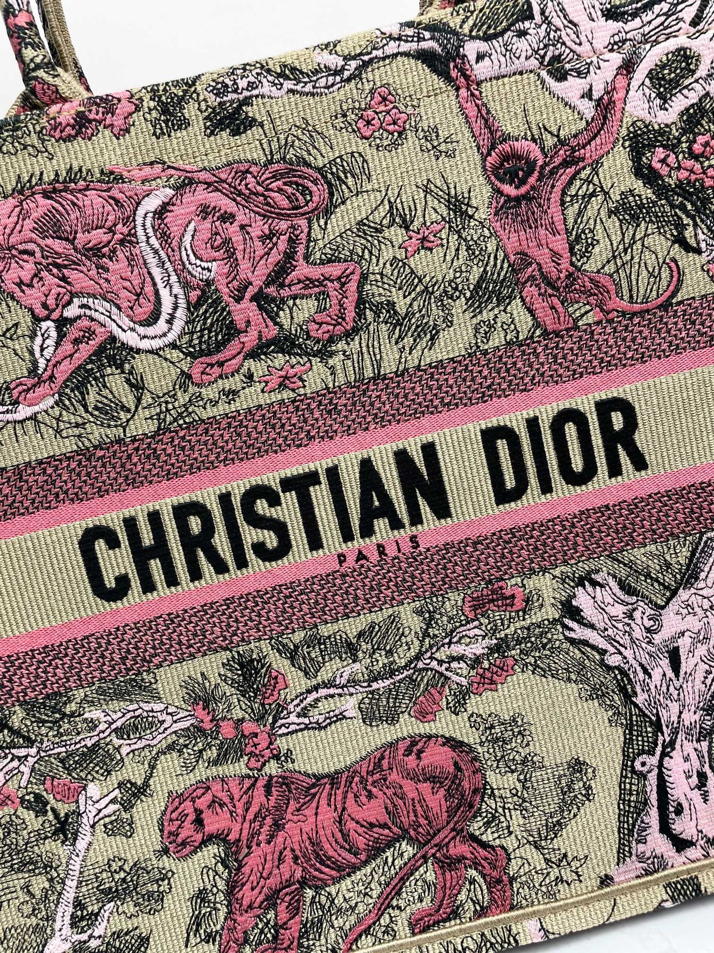 Christian Dior Medium Book Tote - Pink Toile de Jouy Embroidery