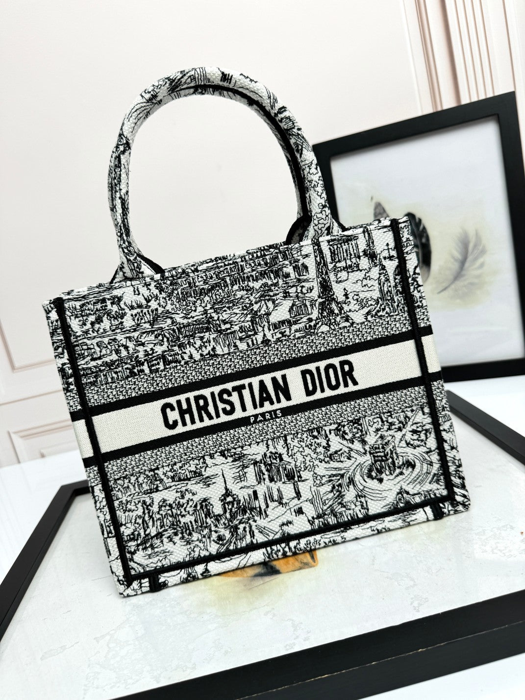Christian Dior Black and White Toile de Jouy Book Tote Bag