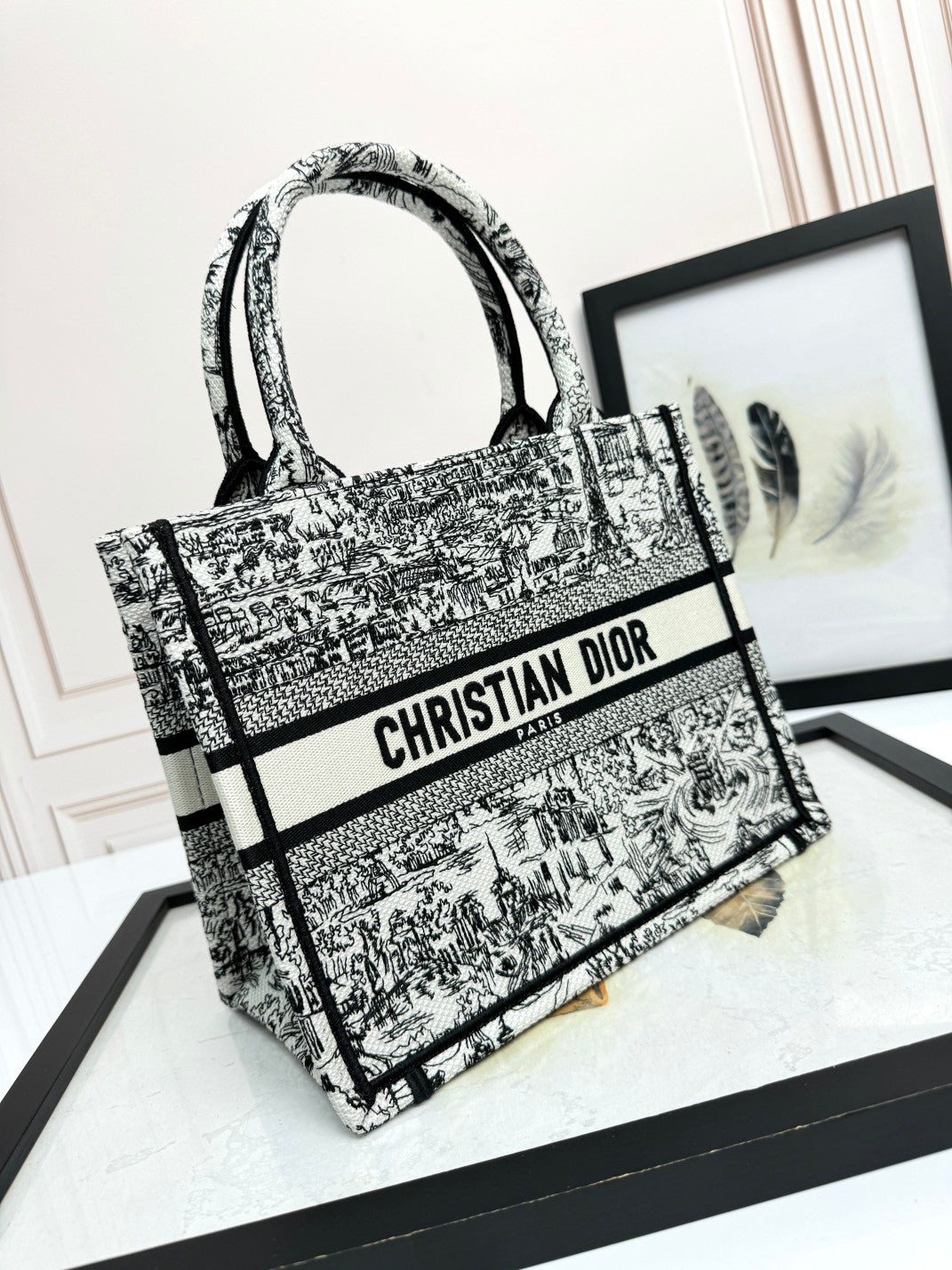 Christian Dior Medium Book Tote Black and White Toile de Jouy Embroidery