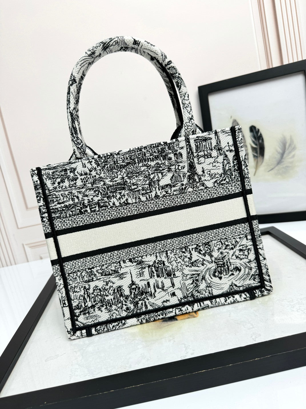 Christian Dior Book Tote - Black and White Embroidered Toile de Jouy Canvas