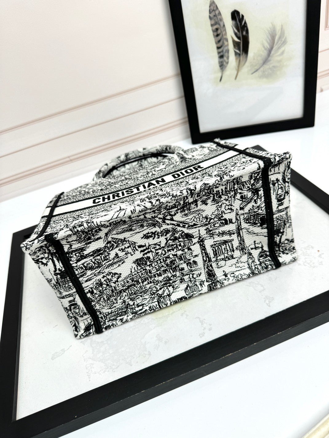 Christian Dior Medium Book Tote Black and White Toile de Jouy Embroidery