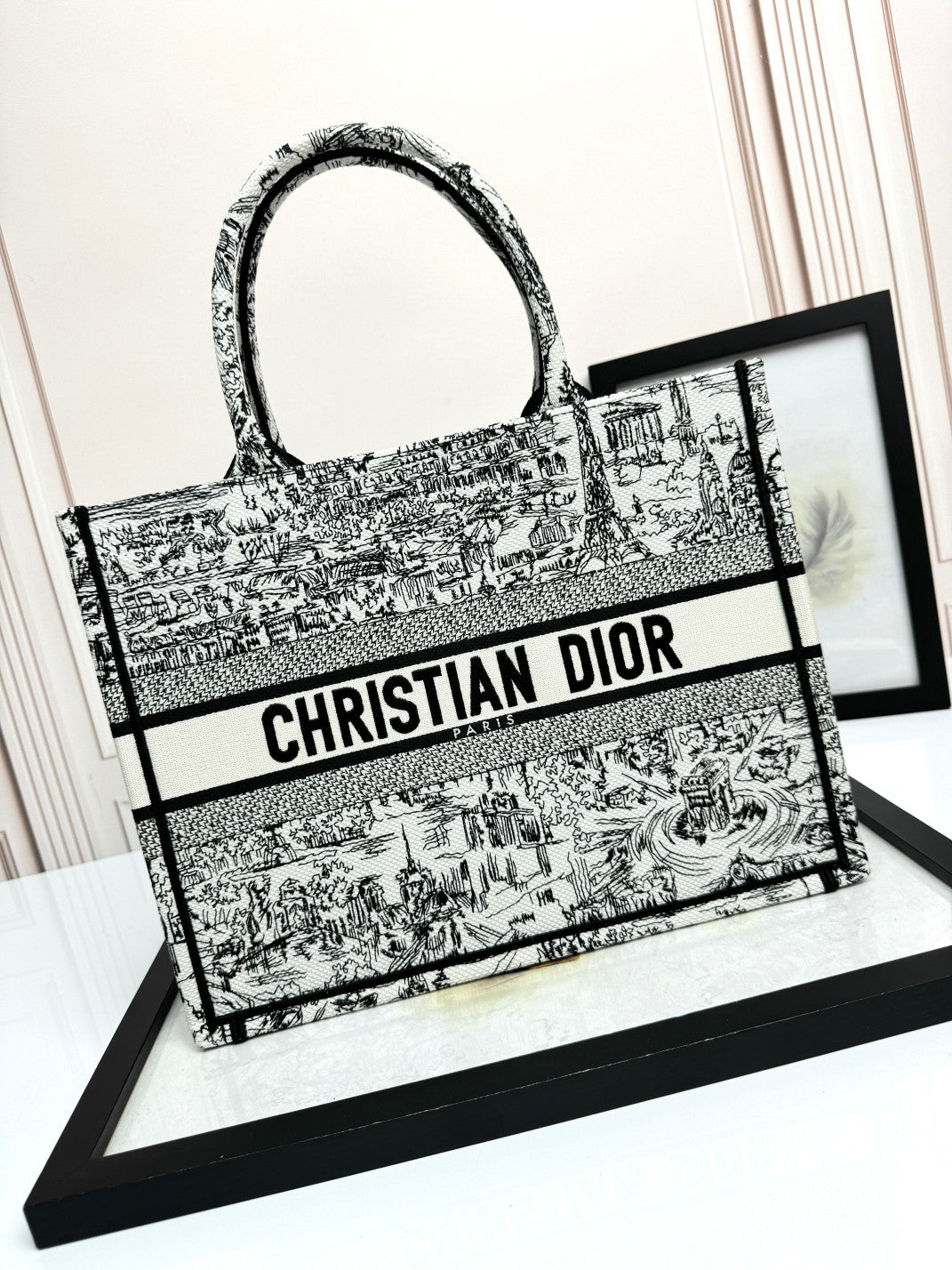 Christian Dior Large Book Tote Black and White Toile de Jouy Embroidery