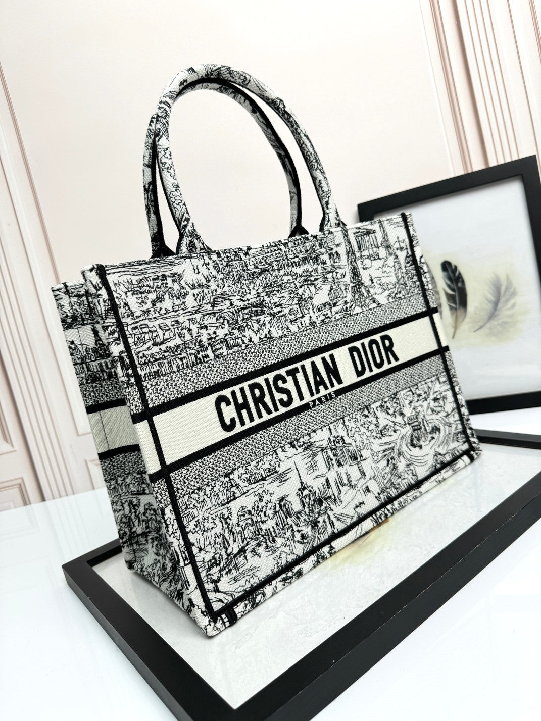Christian Dior Toile de Jouy Book Tote Bag - Black and White Embroidered Canvas