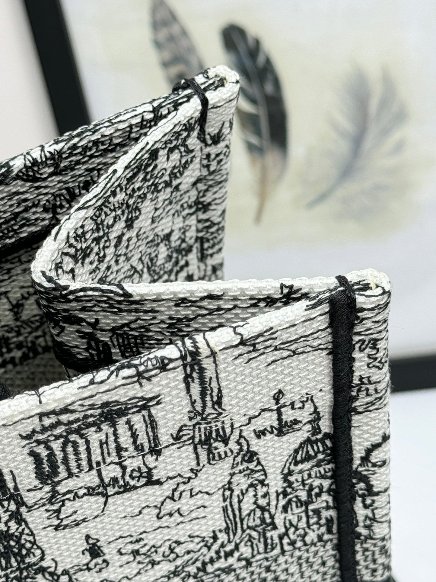 Christian Dior Toile de Jouy Book Tote Bag - Black and White Embroidered Canvas
