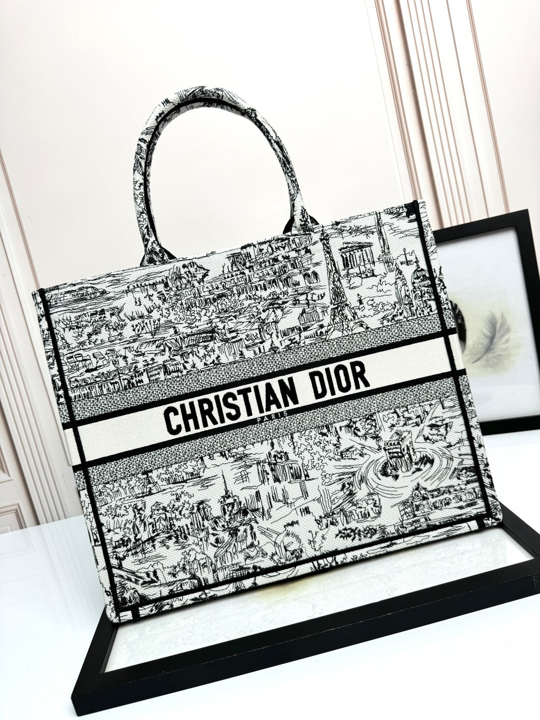 Christian Dior Large Book Tote Plan de Paris Embroidery - White and Black