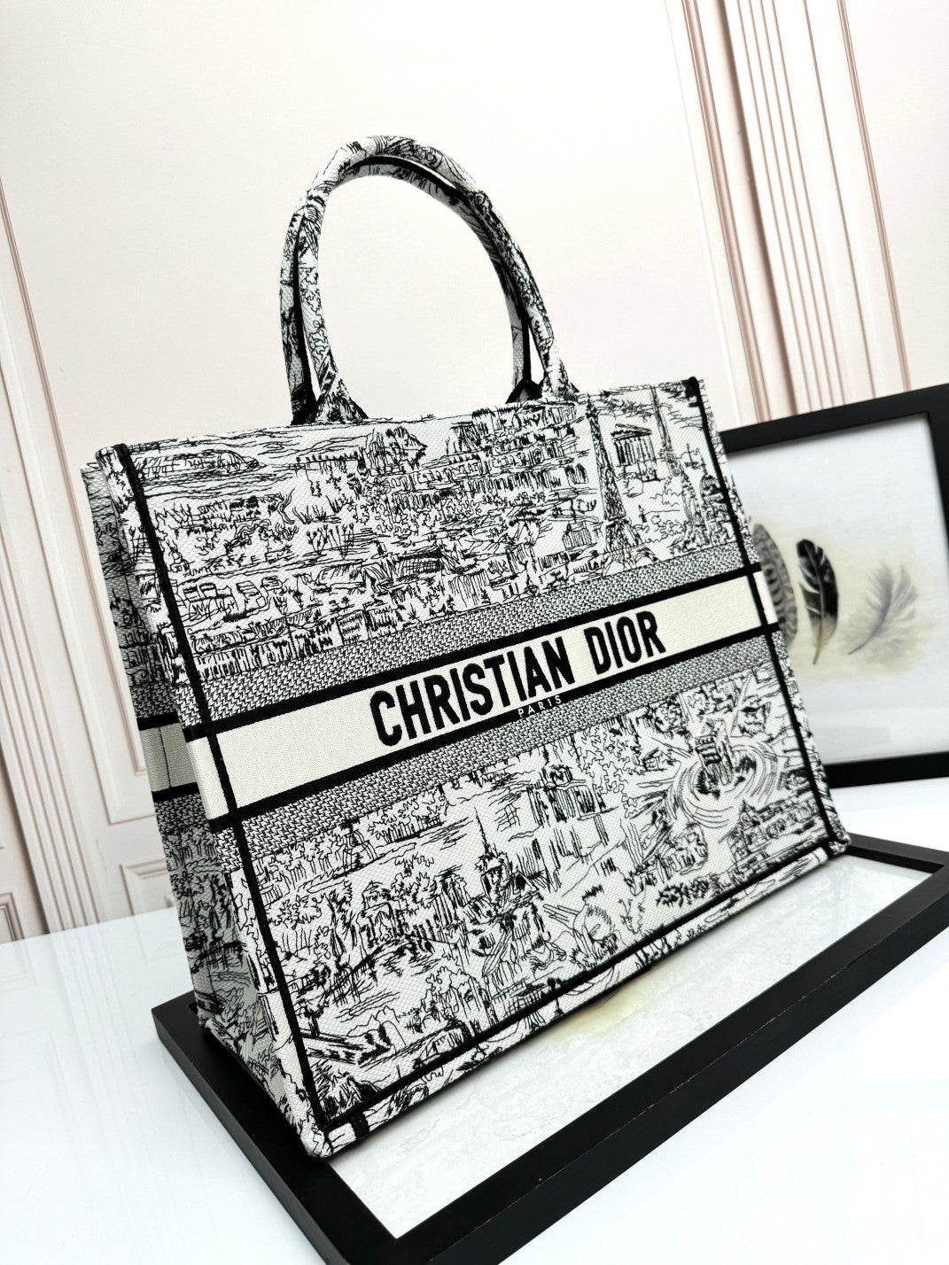 Christian Dior Large Book Tote Plan de Paris Embroidery - White and Black