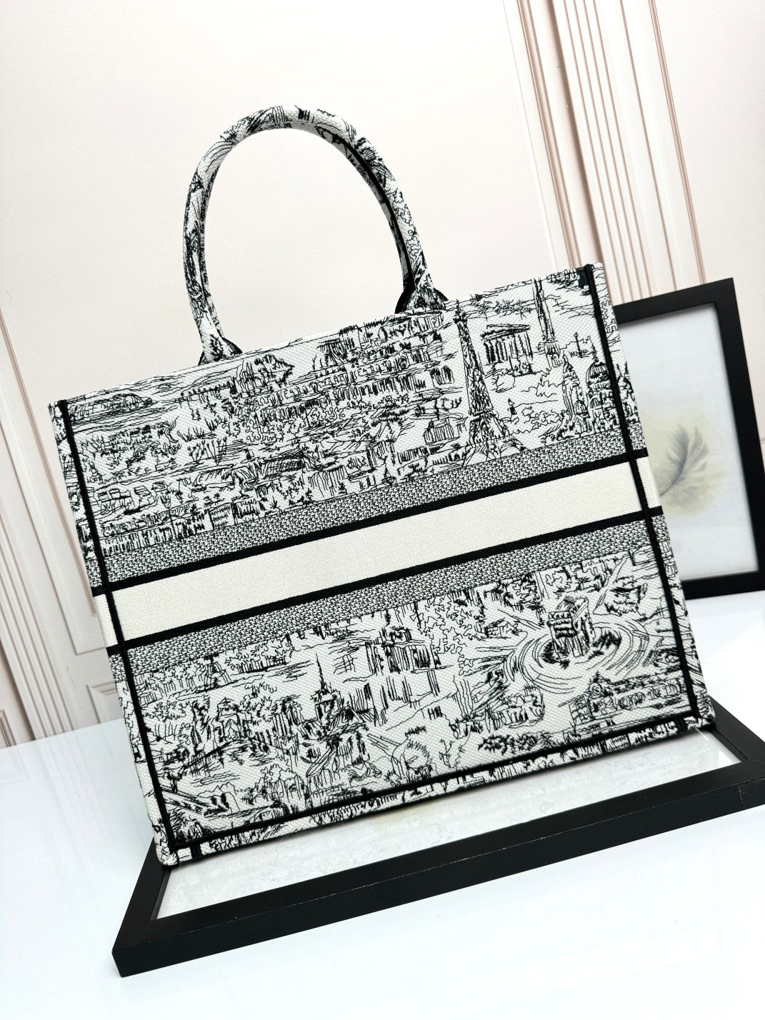 Christian Dior Large Book Tote Plan de Paris White and Black Embroidery