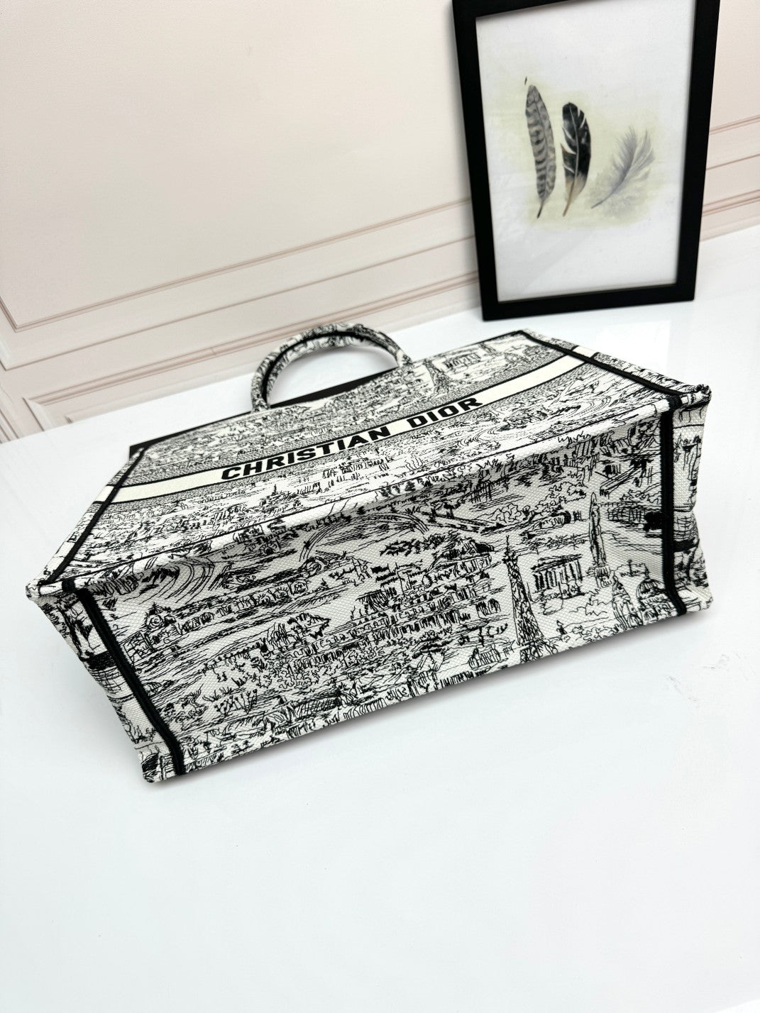 Christian Dior Large Book Tote Plan de Paris White and Black Embroidery