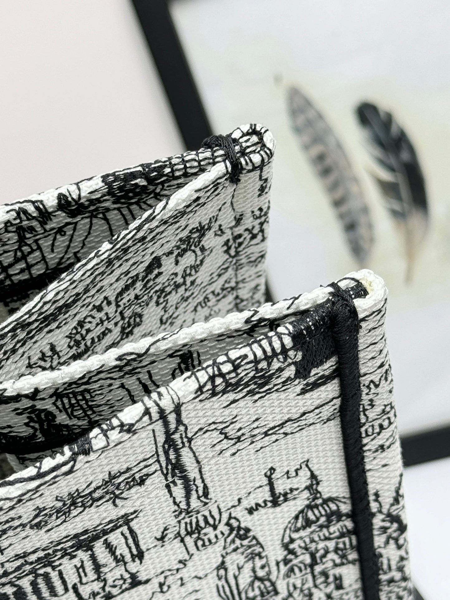 Christian Dior Large Book Tote Plan de Paris Embroidery - White and Black