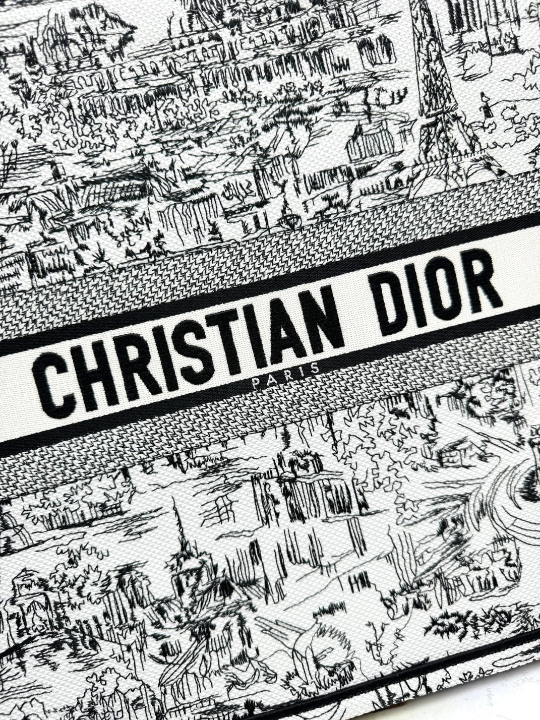 Christian Dior Large Book Tote Plan de Paris Embroidery - White and Black