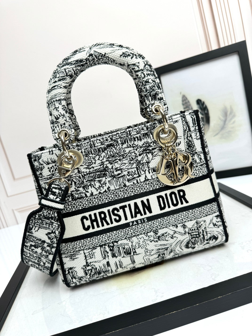 Christian Dior Lady D-Lite Bag Toile de Jouy Embroidery Handbag - White & Black