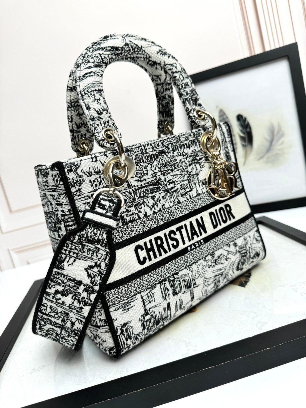 Christian Dior Medium Lady D-Lite Bag - Black & White Toile de Jouy Reverse Embroidery