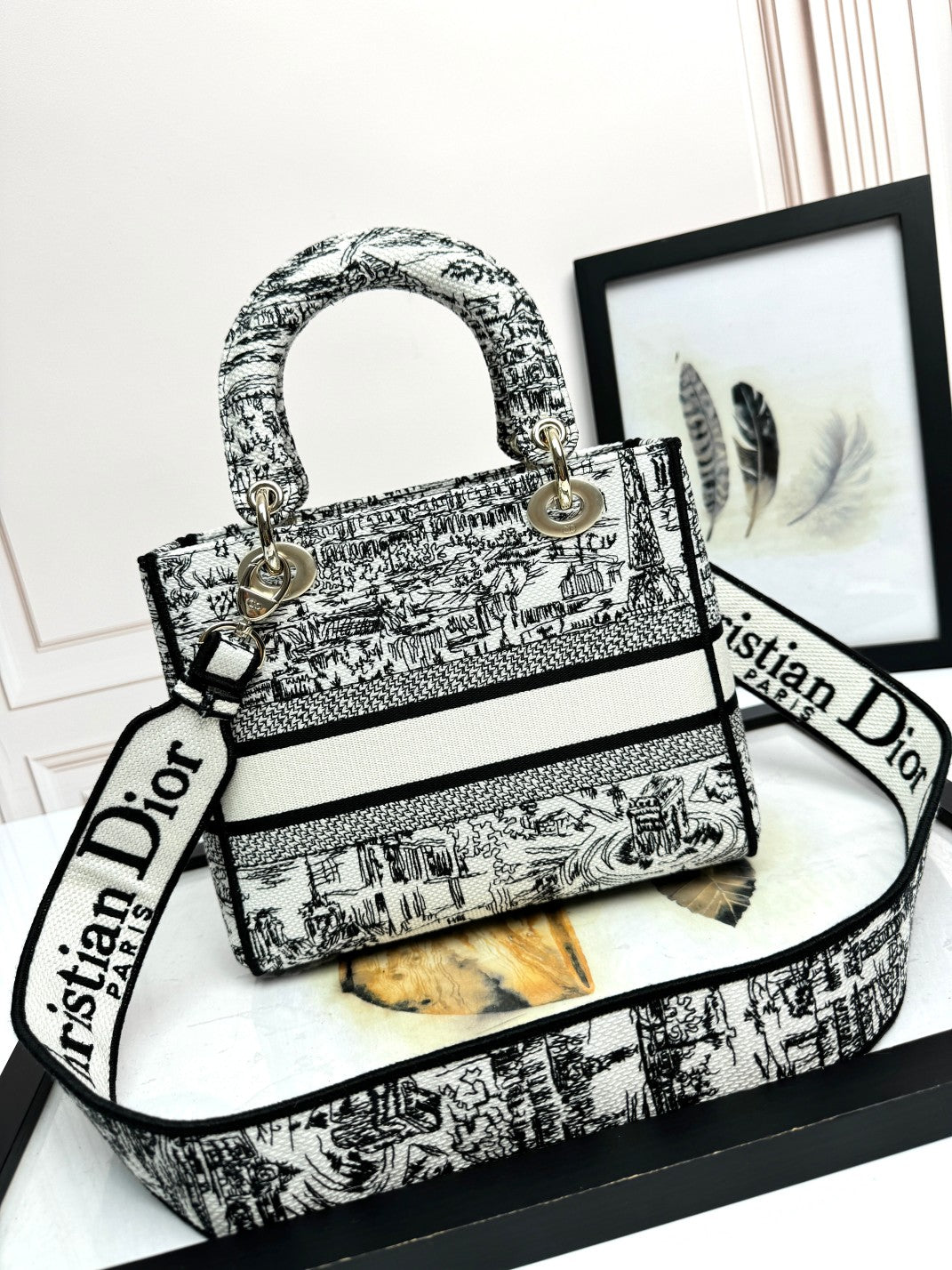 Christian Dior Lady D-Lite Bag - Toile de Jouy Reverse Embroidery - White and Black