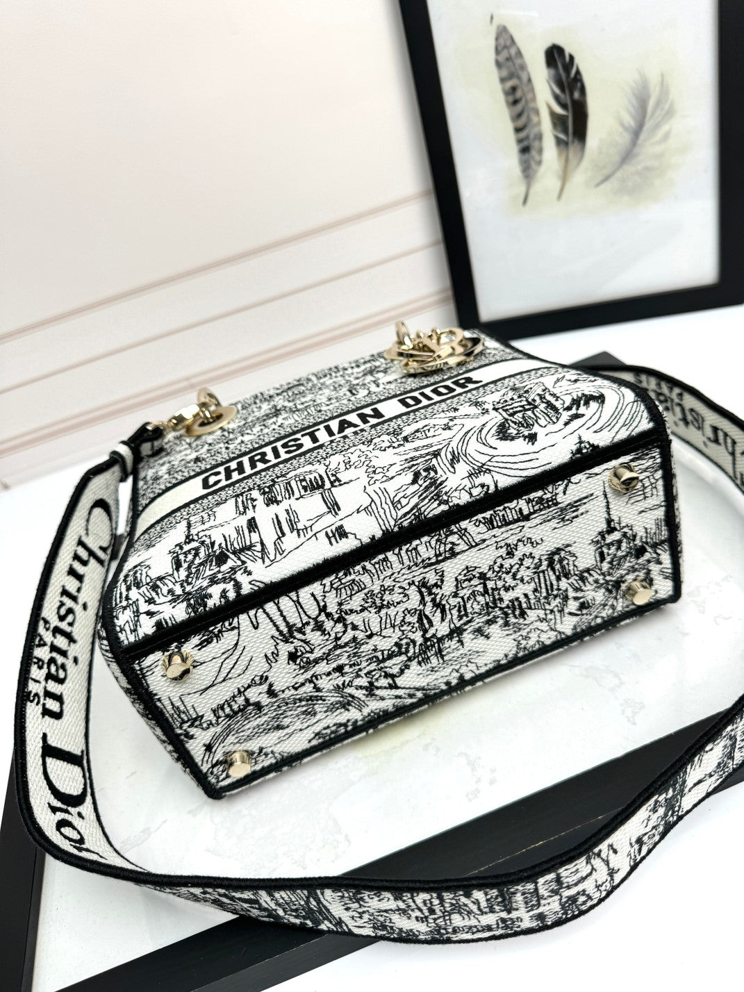 Christian Dior Medium Lady D-Lite Bag - Black & White Toile de Jouy Reverse Embroidery