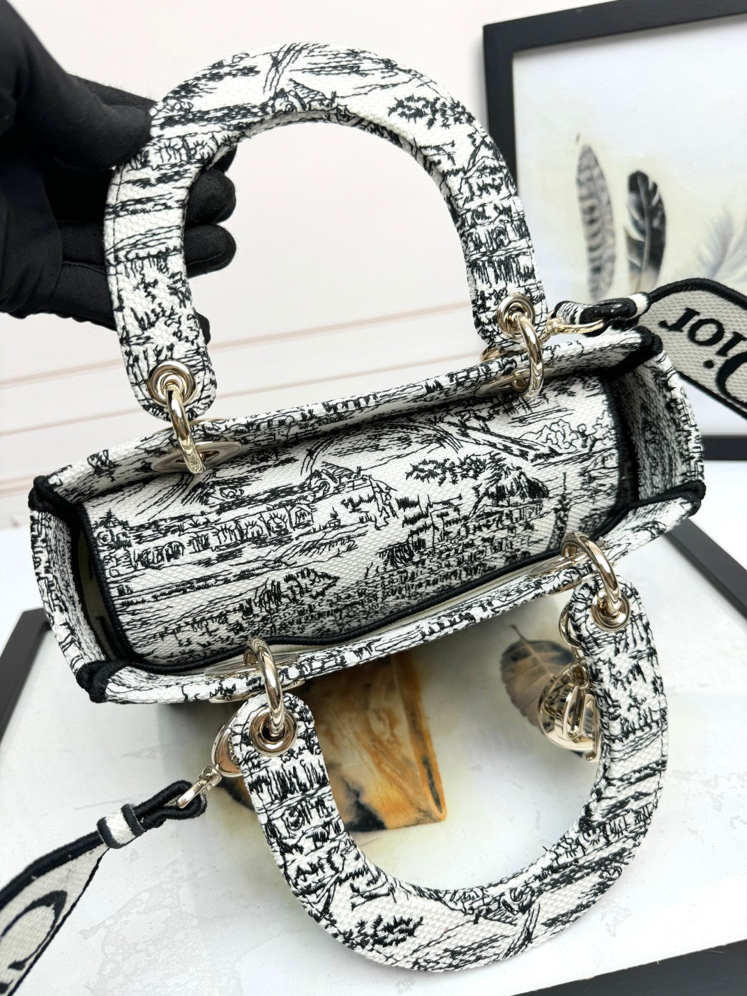 Christian Dior Lady D-Lite Bag - Toile de Jouy Reverse Embroidery - White and Black