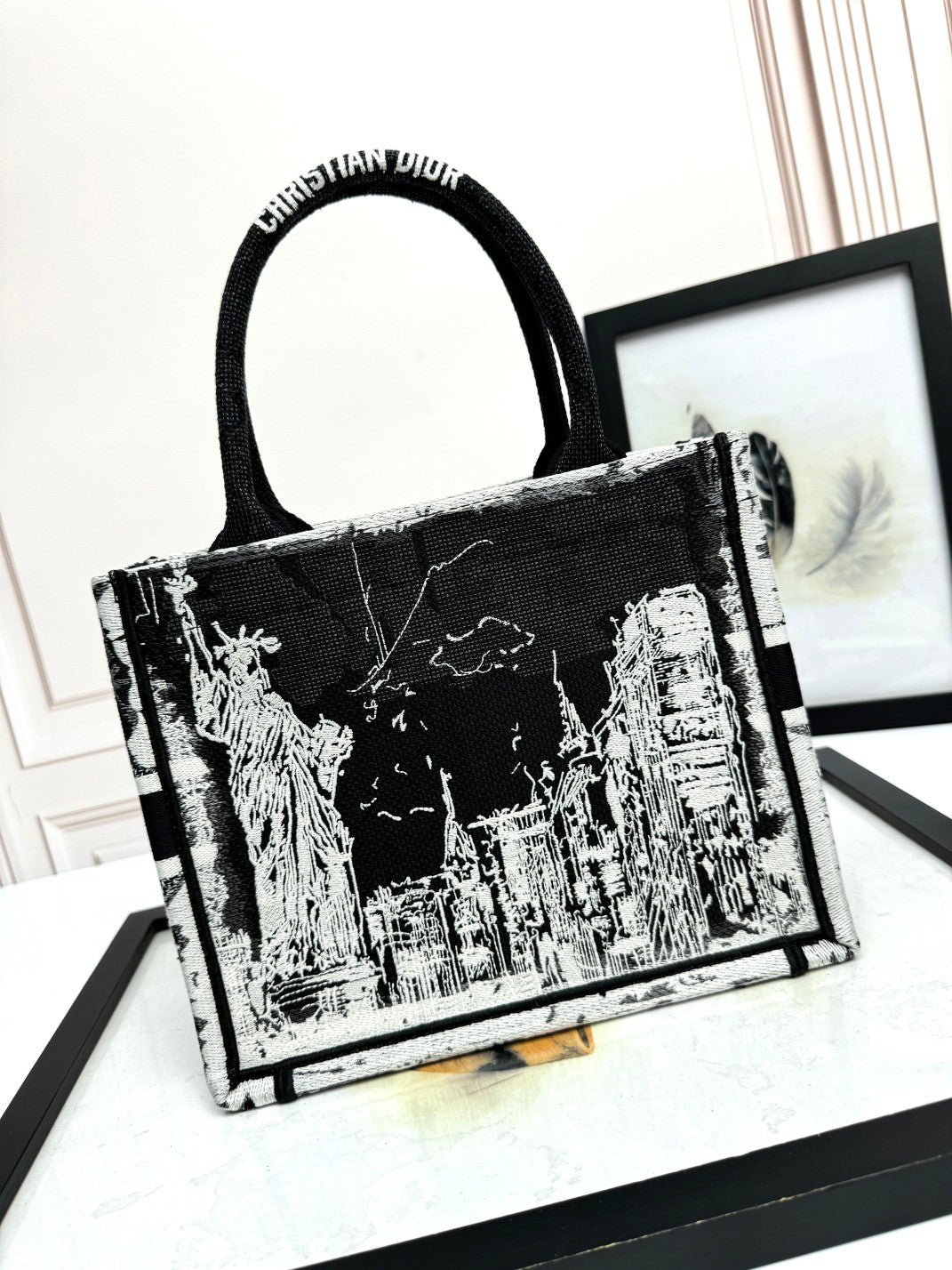 Christian Dior Small Book Tote Bag - Black and White Embroidered Canvas