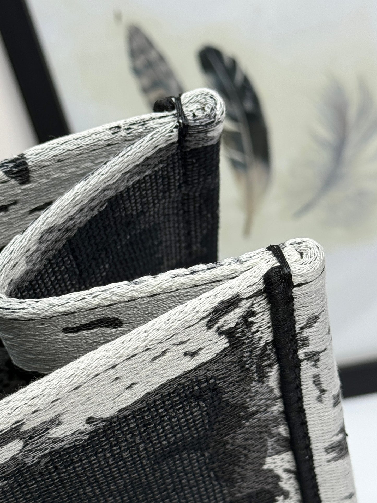 Christian Dior Medium Book Tote Bag Black and White Embroidery