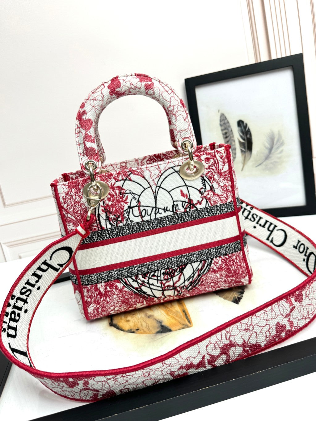Christian Dior Lady D-Lite Medium Bag - Red and White Embroidered Toile de Jouy Canvas