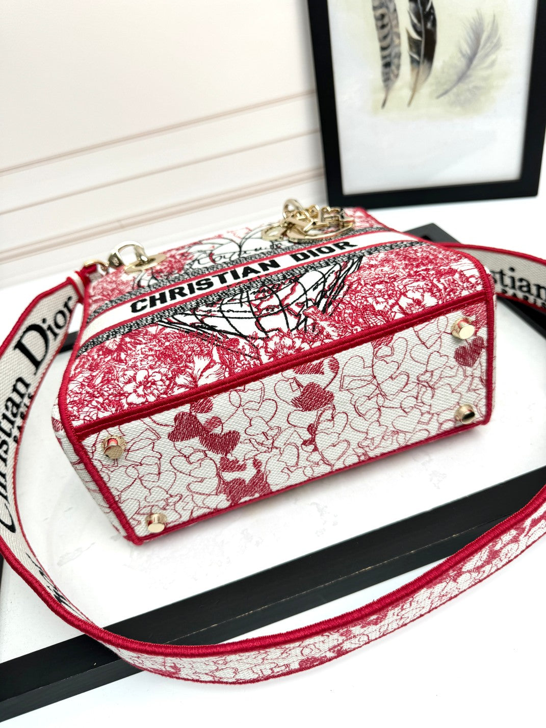 Christian Dior Lady D-Lite Medium Bag - Red and White Embroidered Toile de Jouy Canvas