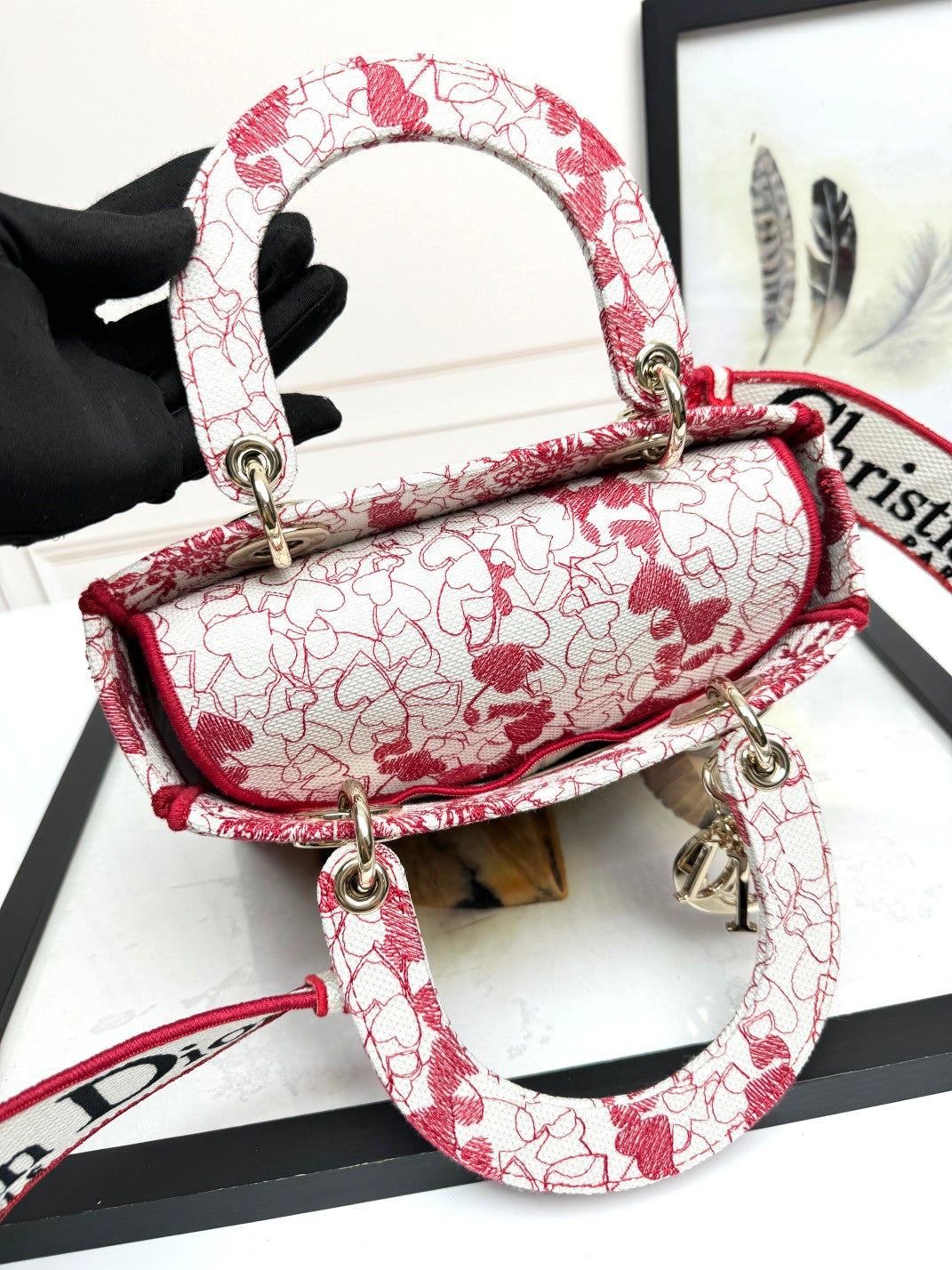 Christian Dior Lady D-Lite Medium Bag - Red and White Embroidered Toile de Jouy Canvas