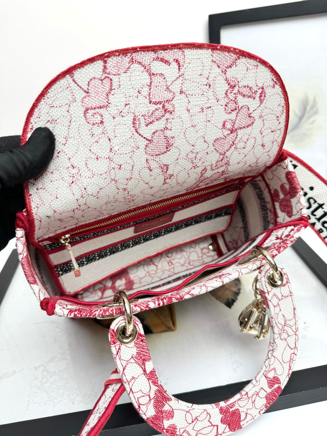 Christian Dior Medium Lady Dior Bag - Red and White Toile de Jouy Embroidery