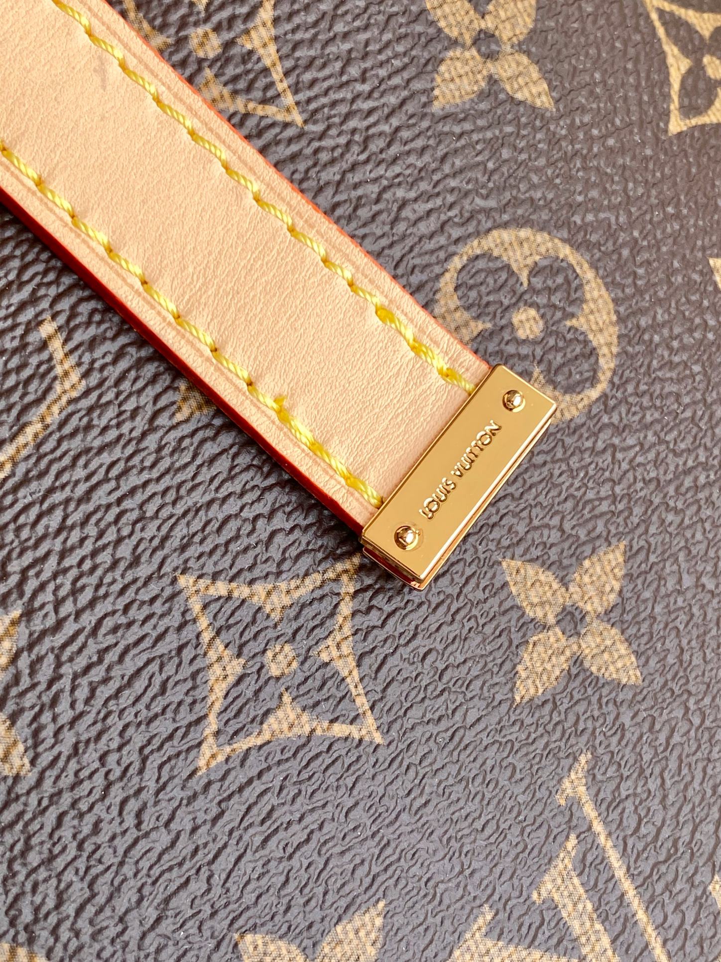 Louis Vuitton Monogram All-In MM Tote Bag