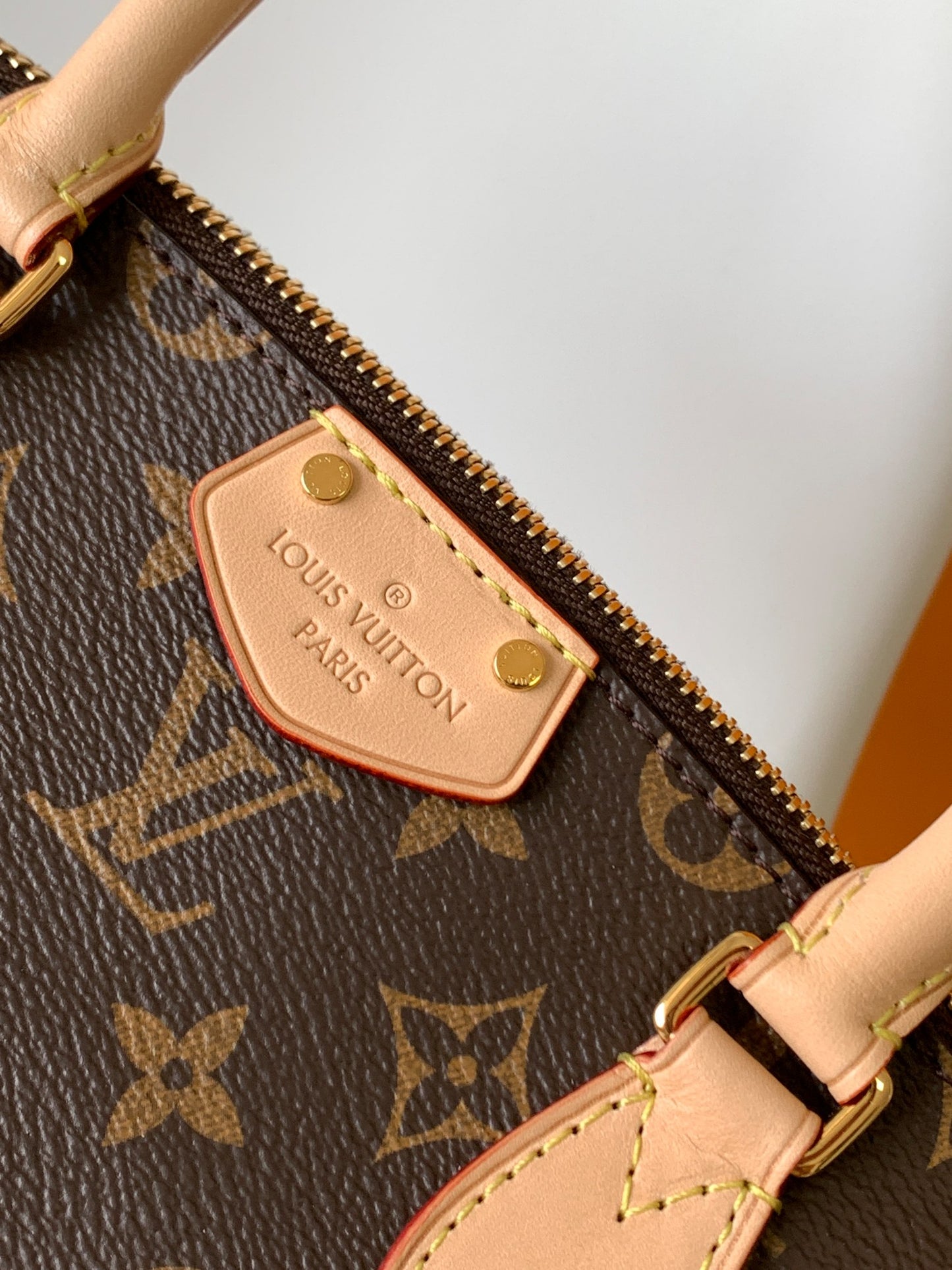 Louis Vuitton Turenne PM Monogram Canvas Handbag