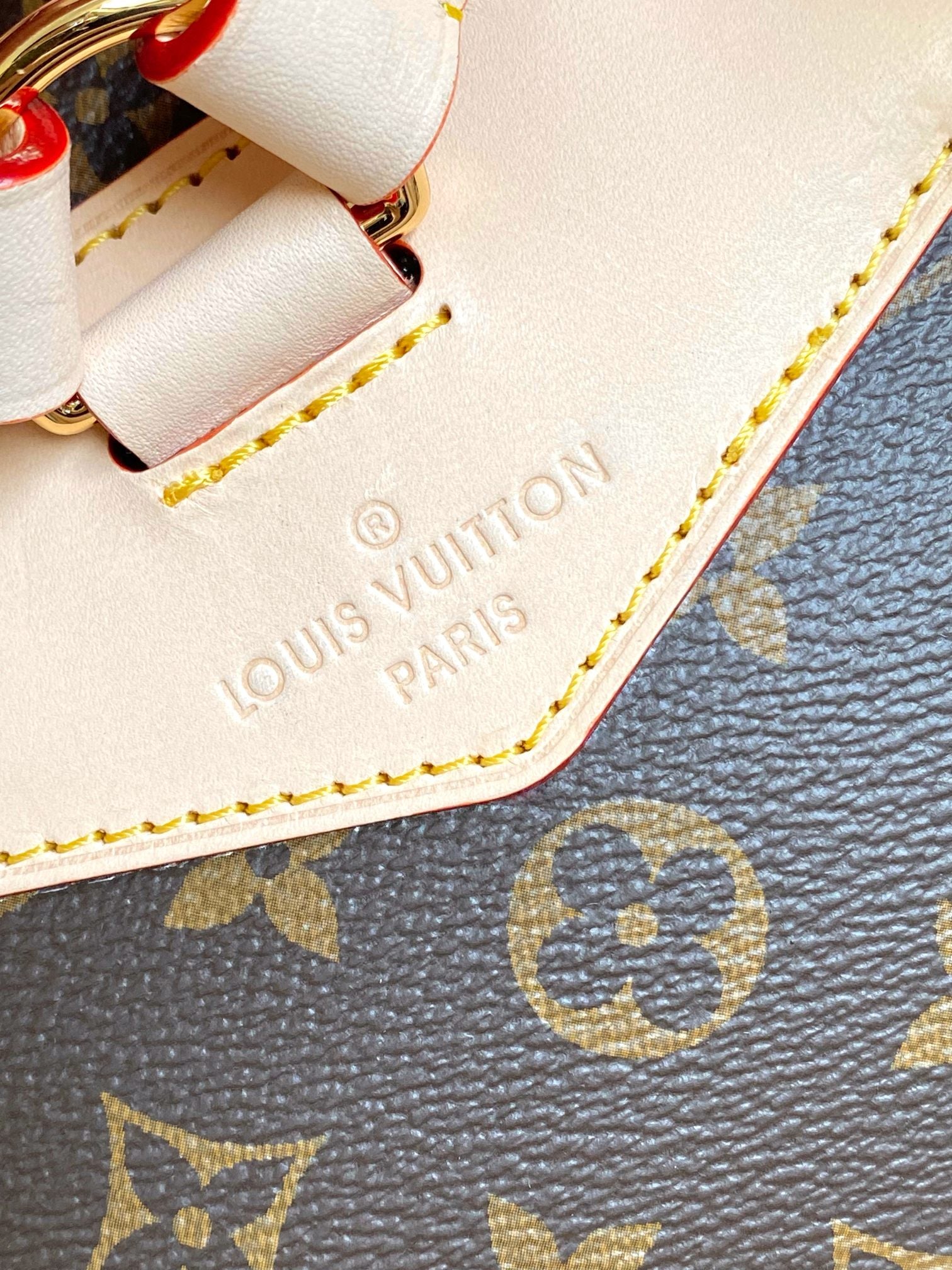 Louis Vuitton Montsouris Backpack Monogram Canvas