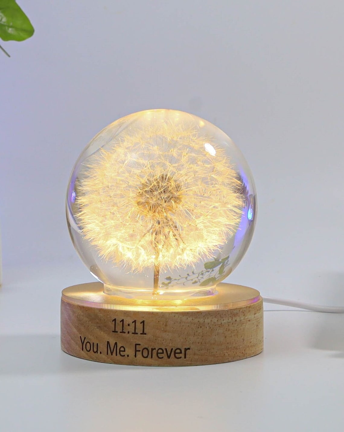 Dandelion Resin Night Light, Real Dandelion Puff Paperweight with Laser Engraved Wood Base, Handmade Gift