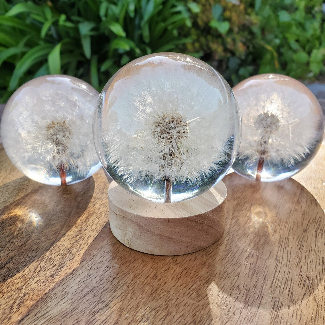 Dandelion Sphere Resin Night Light, Real Dandelion Inside Clear Resin Ball with Lighted Base, Handmade Home Decor