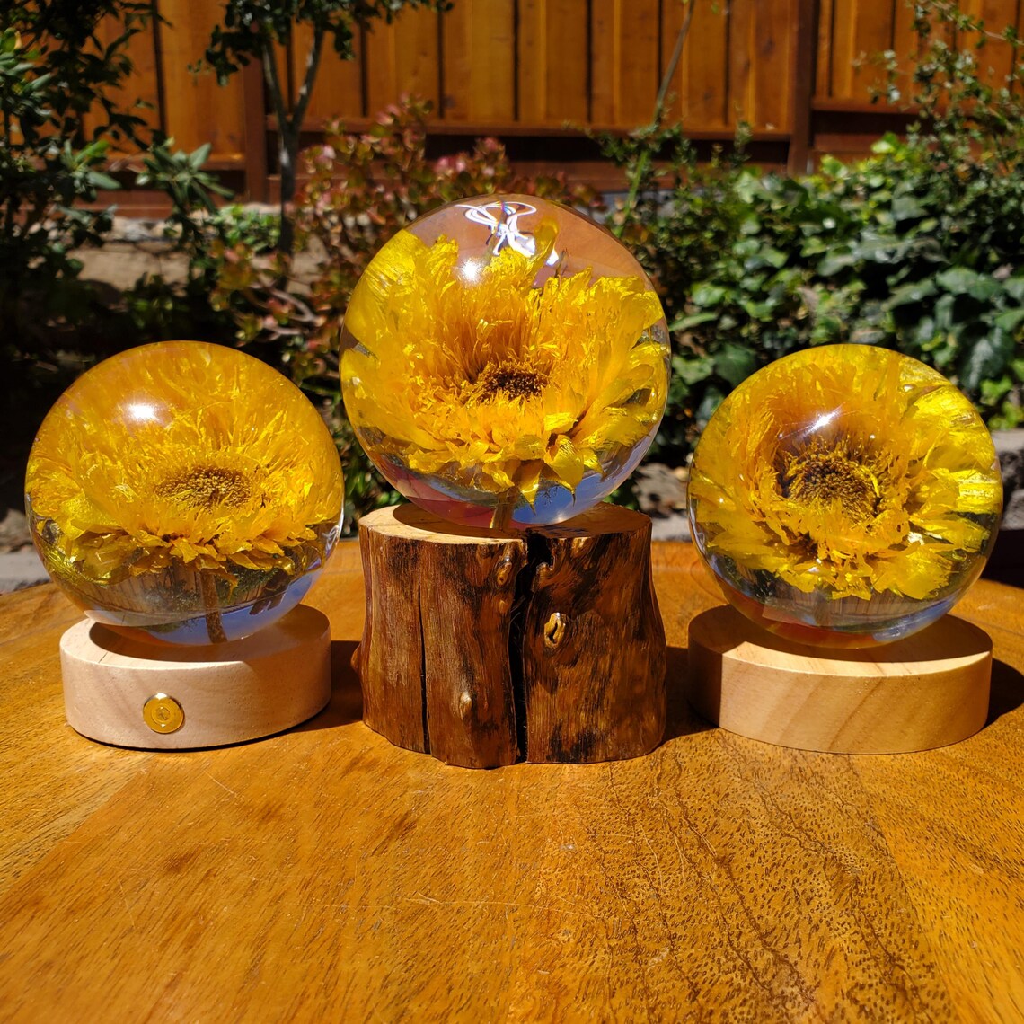Sunflower Resin Sphere Accent Light, Real Teddy Sunflower Inside with Wooden Stand, Handmade Mood Lamp