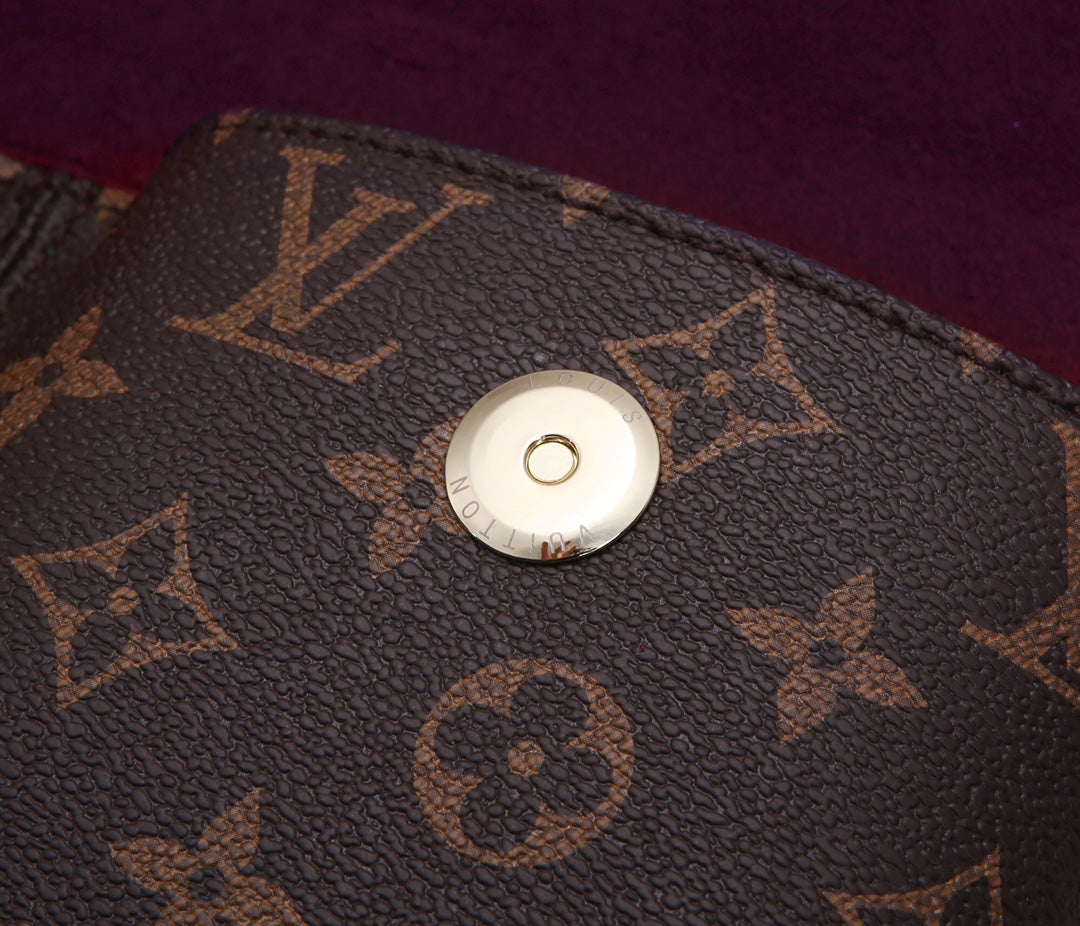 Louis Vuitton Monogram Canvas Favorite MM Shoulder Bag with Chain Strap